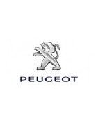 Misutonida Frontbügel, Seitenstufen und Zubehör für Peugeot Expert