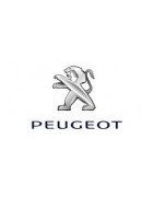 Misutonida Frontbügel, Seitenstufen und Zubehör für Peugeot Rifter