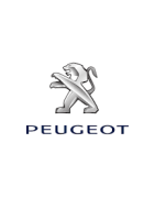 Misutonida Frontbügel, Seitenstufen und Zubehör für  Peugeot 3008 2018 -